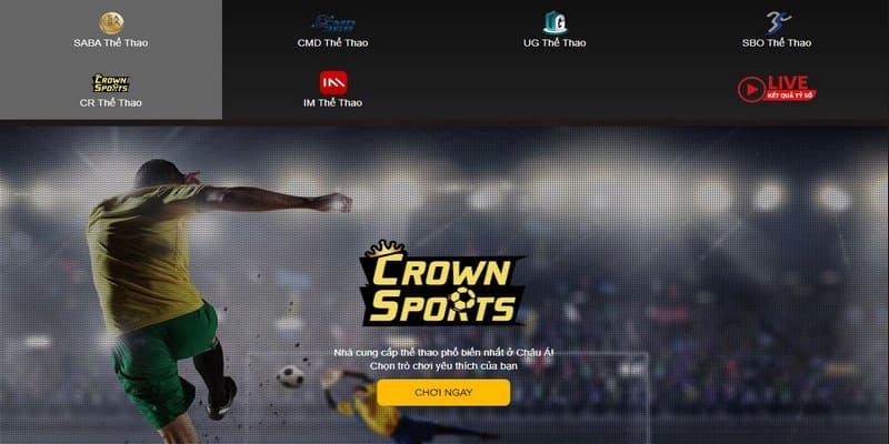 Crown Thể thao là cái tên quen thuộc trong cộng đồng