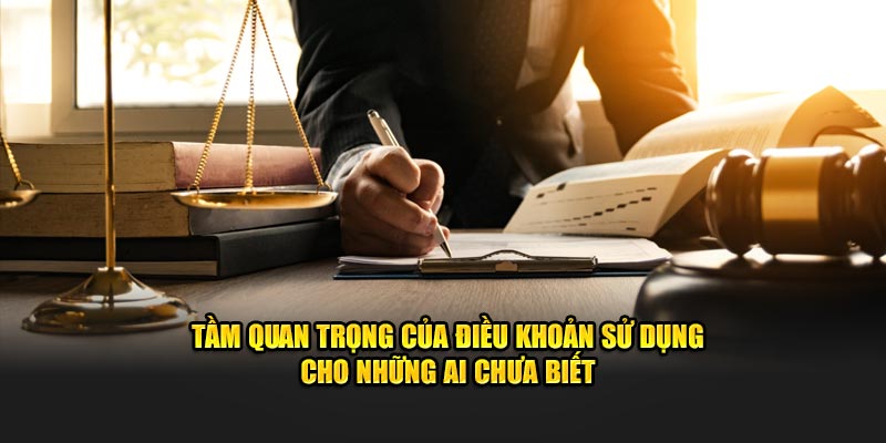 Giới thiệu đôi nét về chính sách điều khoản của 789WIN