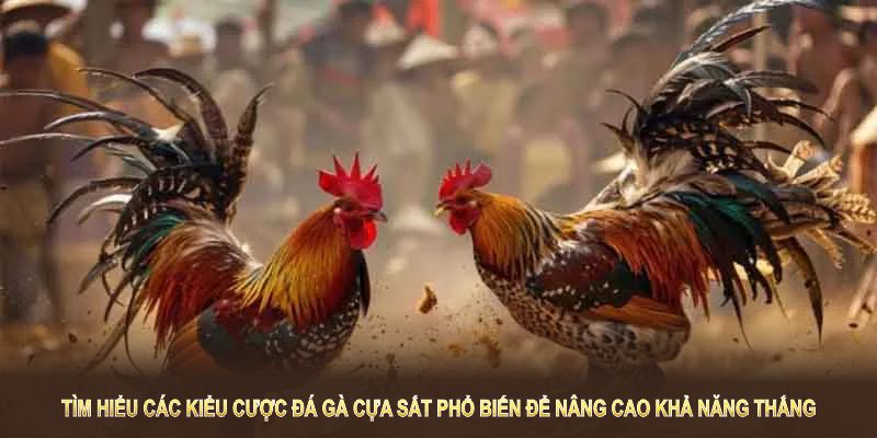 Tìm hiểu các kiểu cược đá gà cựa sắt phổ biến để nâng cao khả năng thắng